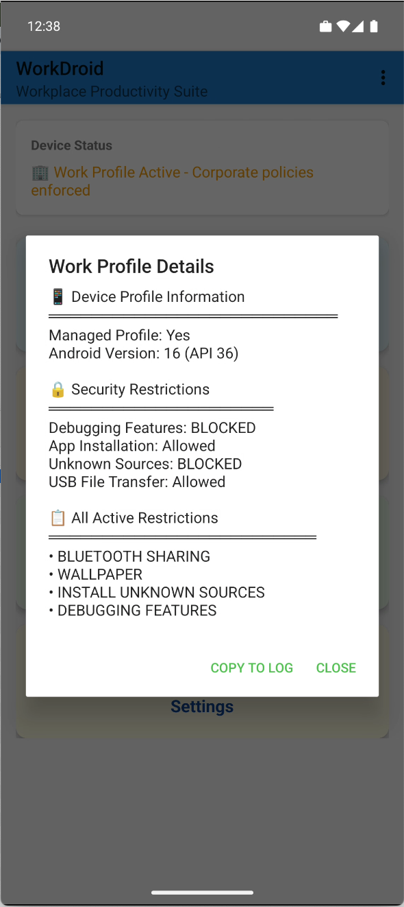 Work Profile with set restrictions